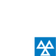 interim service with mot