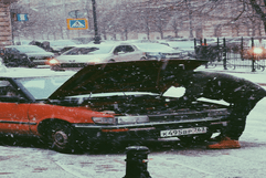 Winter Check